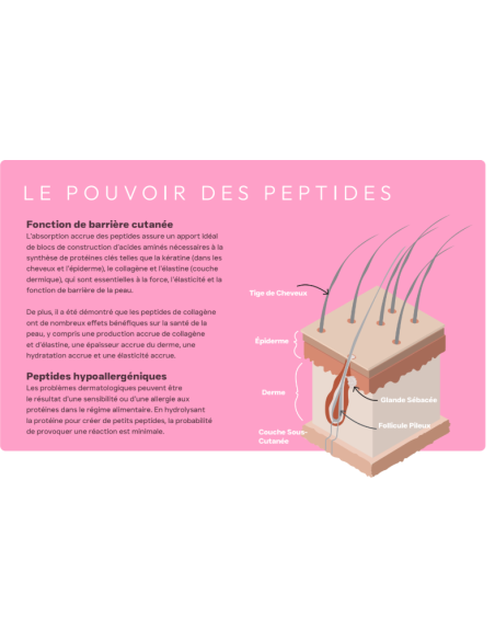Croquette vétérinaires Peptide+ soin de la peau et du pelage - INSTINCTIV CROC