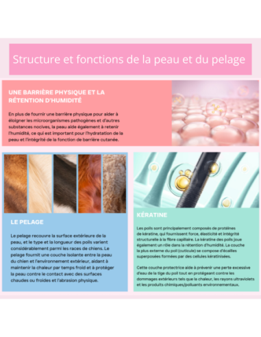 Croquette vétérinaires Peptide+ soin de la peau et du pelage - INSTINCTIV CROC