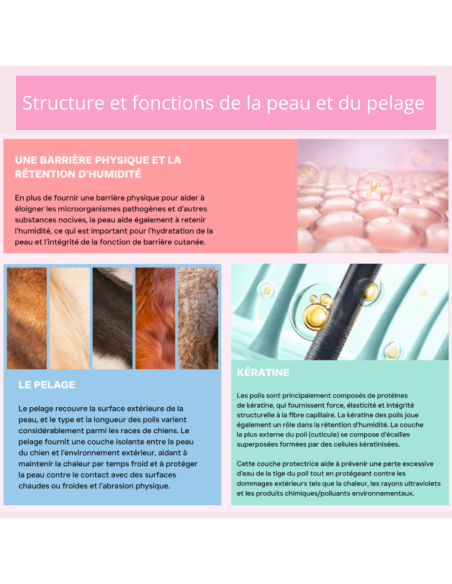 Croquette vétérinaires Peptide+ soin de la peau et du pelage - INSTINCTIV CROC