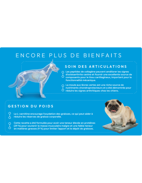 Croquette vétérinaires  Peptide+ contrôle du poids et soins des articulations - INSTINCTIV CROC