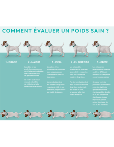 Croquette vétérinaires  Peptide+ contrôle du poids et soins des articulations - INSTINCTIV CROC