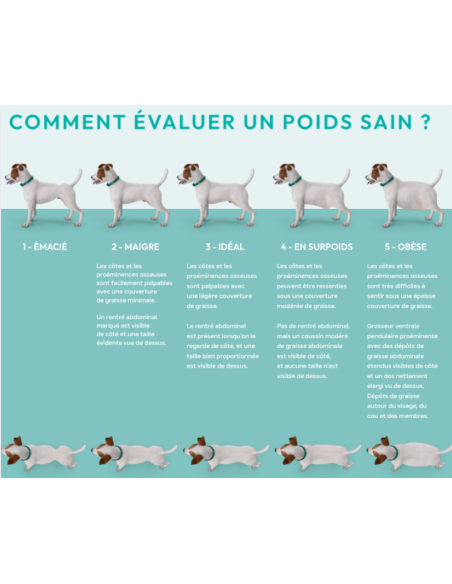 Croquette vétérinaires  Peptide+ contrôle du poids et soins des articulations - INSTINCTIV CROC