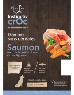 Croquettes sans céréales au saumon pour chiot de grande race - INSTINCTIV CROC