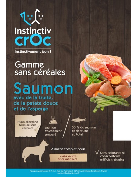 Croquettes sans céréales au saumon pour chien de grande Race  - INSTINCTIV CROC