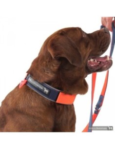 Collier Néoprène Sport BELLOMANIA 2