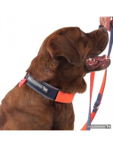 Collier Néoprène Sport BELLOMANIA