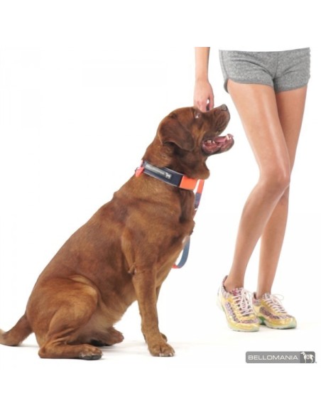 Collier Néoprène Sport BELLOMANIA