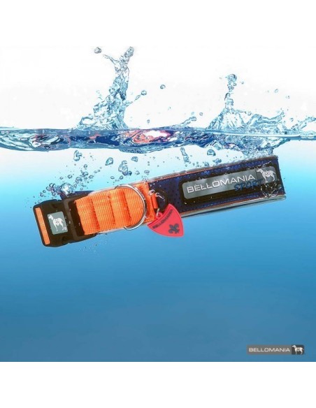 Collier Néoprène Sport BELLOMANIA