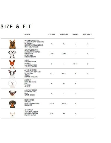 Collier Néoprène Sport BELLOMANIA