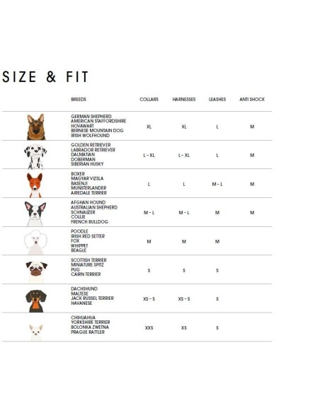 Collier Néoprène Sport BELLOMANIA