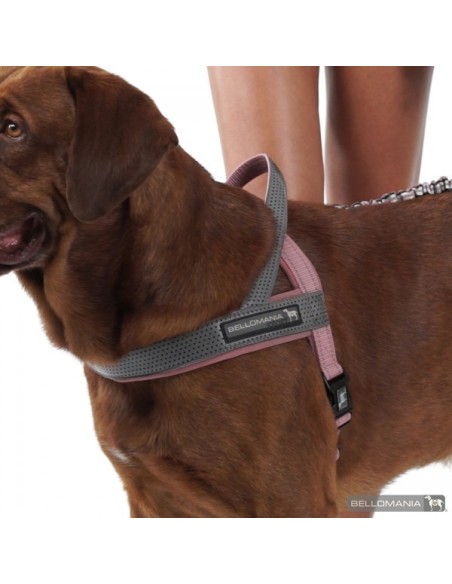 Harnais Quickfit Sport BELLOMANIA