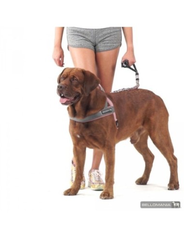 Harnais Quickfit Sport BELLOMANIA
