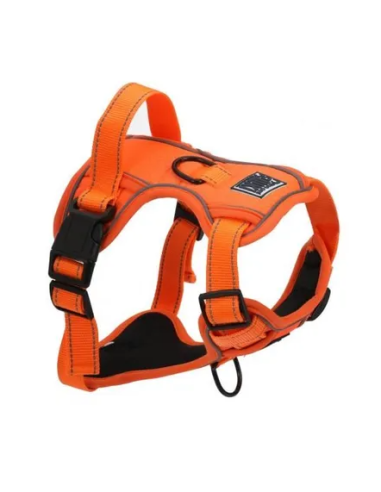 Harnais réfléchissant Orange