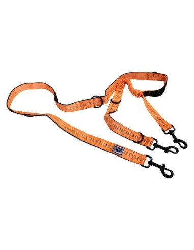 Laisse multi-position en nylon en 1,8mètres et avec absorbeur de chocs