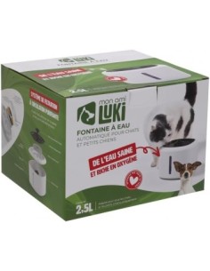 Fontaine à eau avec filtration au charbon