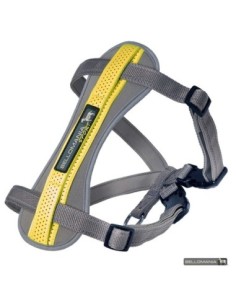 Harnais Sport BELLOMANIA