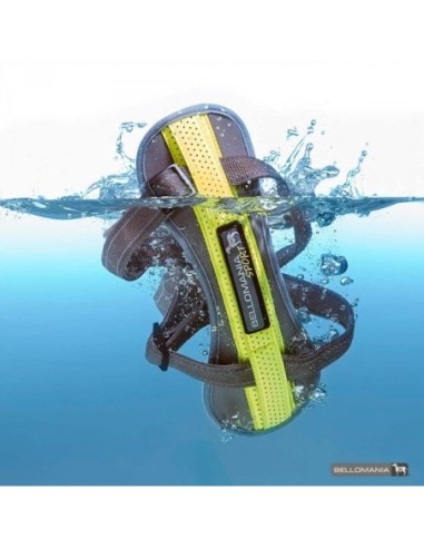 Harnais Sport BELLOMANIA