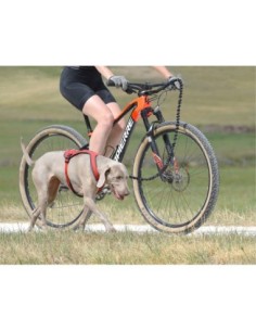 Barre Canibike 3 en 1 Ludus Antenna 2