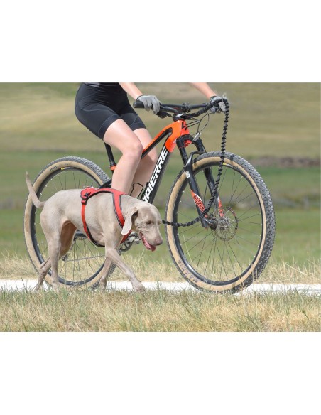 Barre Canibike 3 en 1 Ludus Antenna