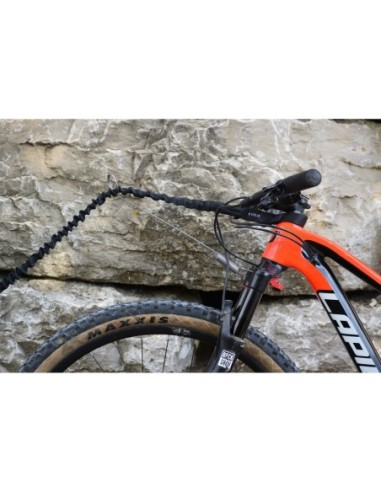 Barre Canibike 3 en 1 Ludus Antenna