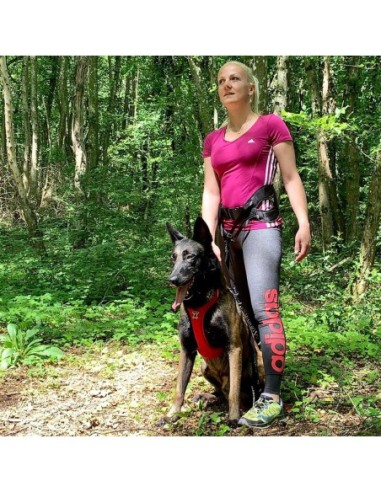 Ceinture Ludus KYFLIE - Sports traction