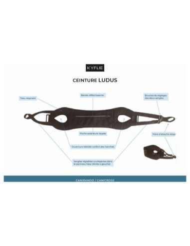 Ceinture Ludus KYFLIE - Sports traction