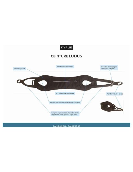 Ceinture Ludus KYFLIE - Sports traction