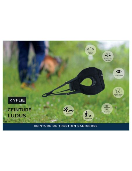 Ceinture Ludus KYFLIE - Sports traction