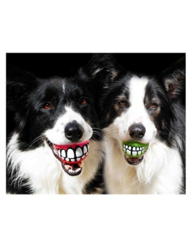 Rogz Balle Grinz - Jouet pour chien