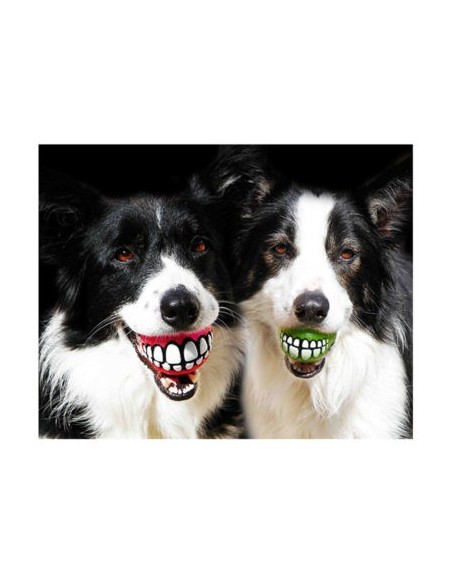 Rogz Balle Grinz - Jouet pour chien