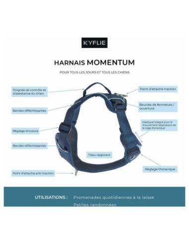 Harnais Momentum KYFLIE - harnais multifonction