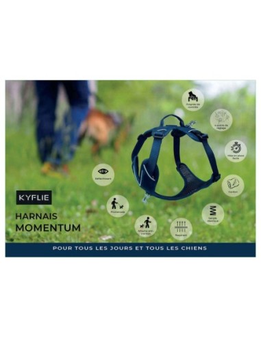 Harnais Momentum KYFLIE - harnais multifonction