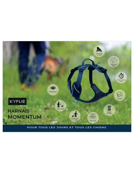 Harnais Momentum KYFLIE - harnais multifonction