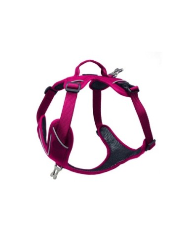 Harnais Momentum KYFLIE - harnais multifonction