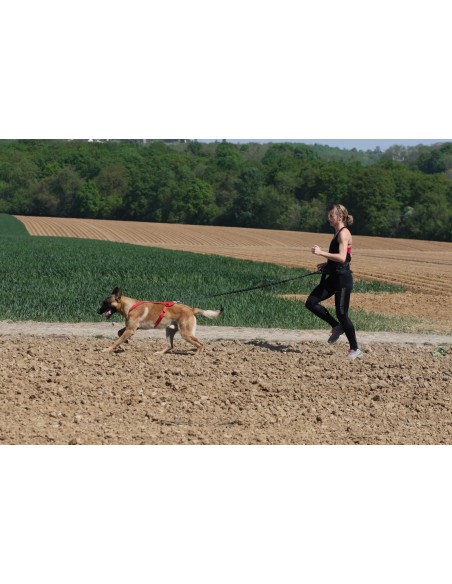 Harnais Otium Kyflie - harnais Canibike - rando - Canicross occasionnel - Skijoering