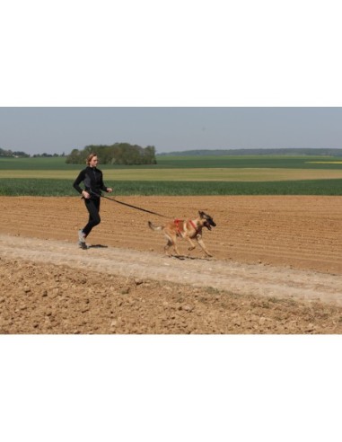 Harnais Otium Kyflie - harnais Canibike - rando - Canicross occasionnel - Skijoering