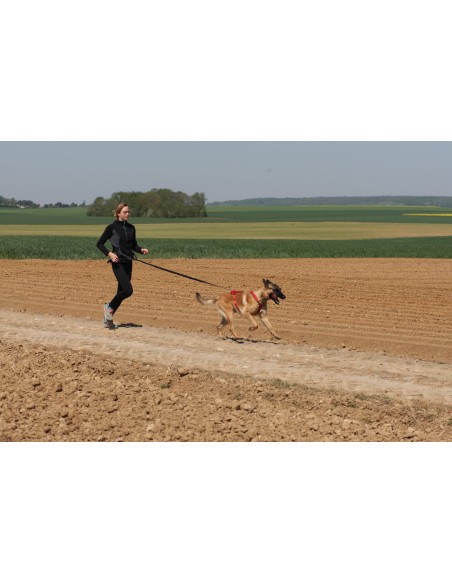 Harnais Otium Kyflie - harnais Canibike - rando - Canicross occasionnel - Skijoering