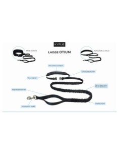 Laisse-ceinture Otium KYFLIE - Sports loisir 2