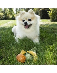 Garden Bites Fruity friends pour chien - Friandise pour chien vendue au détail 2