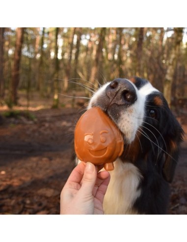 Garden Bites Fruity friends pour chien - Friandise pour chien vendue au détail