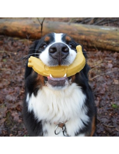 Garden Bites Fruity friends pour chien - Friandise pour chien vendue au détail