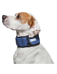 Collier rafraichissant Aqua Coolkeeper Cooling Collar Pacific Blue