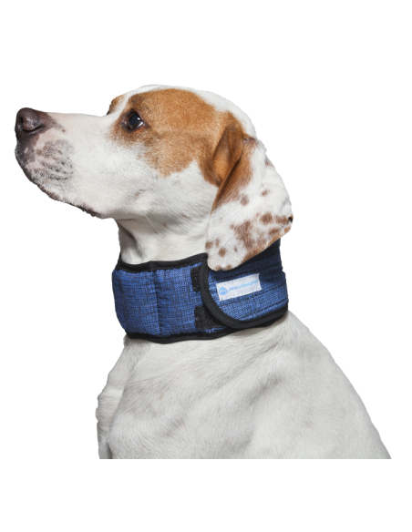 Collier rafraichissant Aqua Coolkeeper Cooling Collar Pacific Blue