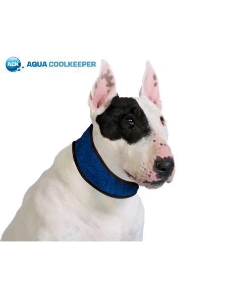 Collier rafraichissant Aqua Coolkeeper Cooling Collar Pacific Blue