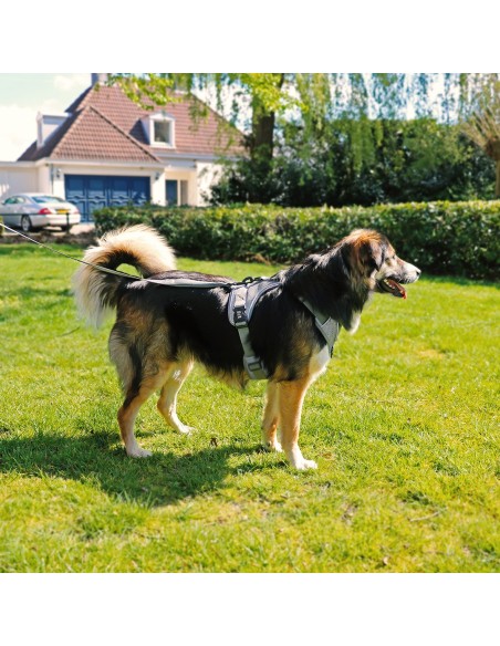 Harnais ultimate safety gris reflective pour chien
