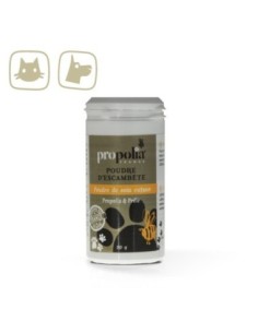 Poudre de soin cutané à la Propolis