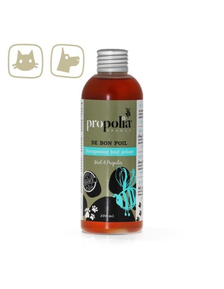 Shampooing tout pelage à base de propolis et miel