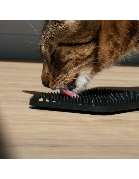 LEX - Tapis de léchage avec picots noir pour chat et petit chien - DUVO +