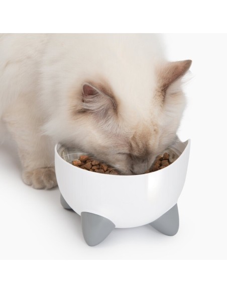 Coffret PIXI combo: fontaine à eau + gamelle en acier inoxydable pour chat - coloris blanc