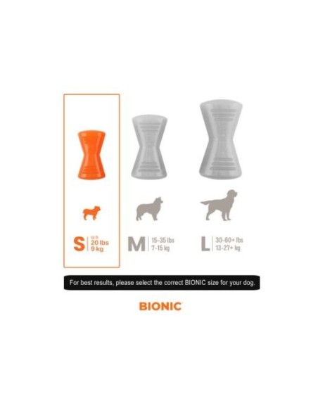 BIONIC Bone